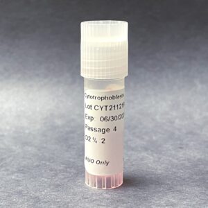 Cytotrophoblasts, CTBPRO2®